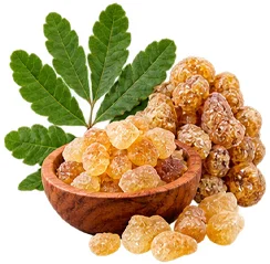 Extrato de Boswellia serrata no {{OFFER_NAME}}
