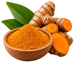 Extrato de Curcuma longa (açafrão-da-terra) no {{OFFER_NAME}}