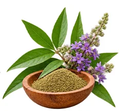 Extrato de Vitex negundo no {{OFFER_NAME}}
