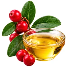 Óleo de Gaultheria fragrantissima no {{OFFER_NAME}}