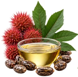 Óleo de Ricinus communis (óleo de rícino) no {{OFFER_NAME}}