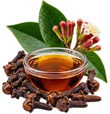 Óleo de Syzygium aromaticum (cravo-da-índia) no {{OFFER_NAME}}